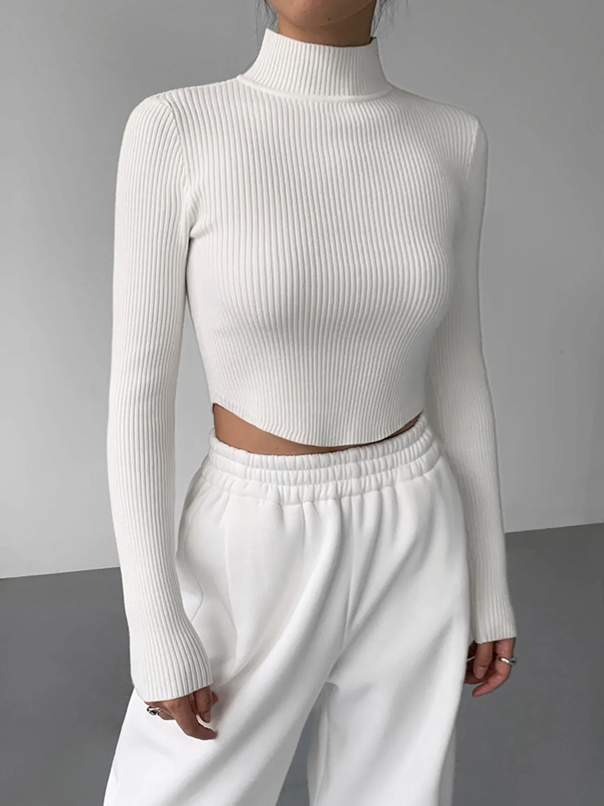 Knit Rib Long Sleeve Modern Mock Neck Crop Top