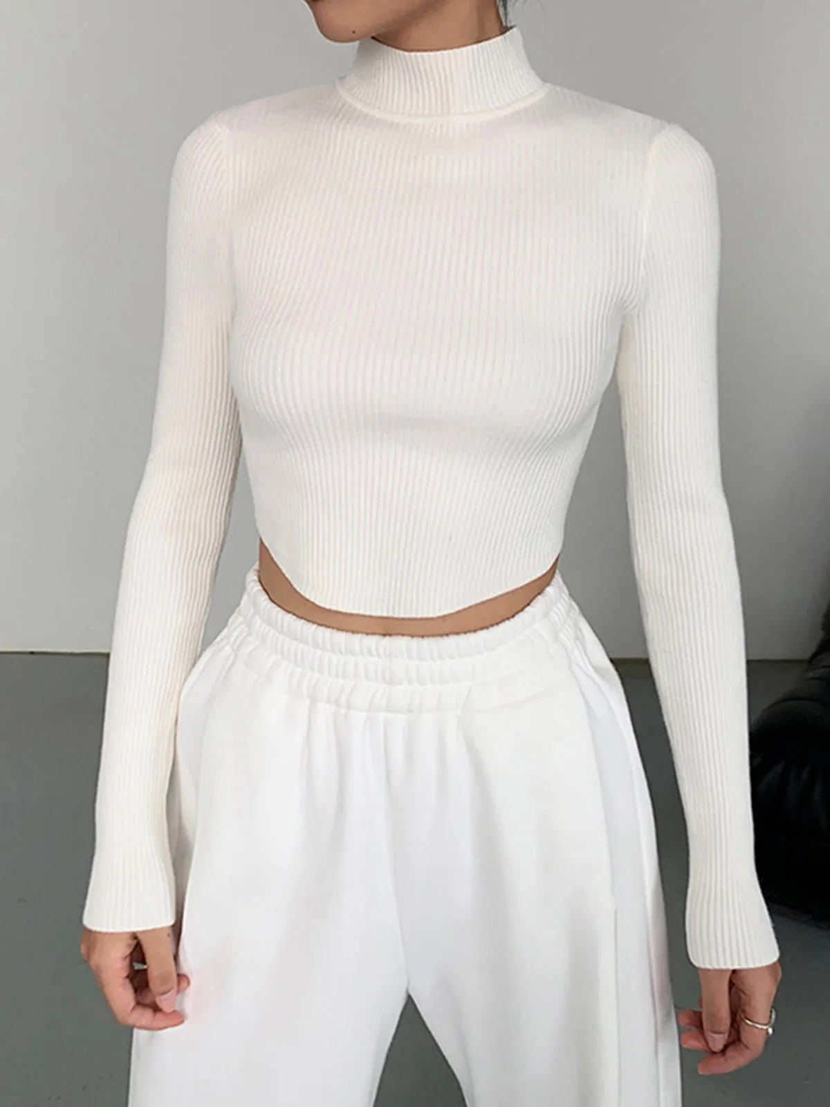 Knit Rib Long Sleeve Modern Mock Neck Crop Top