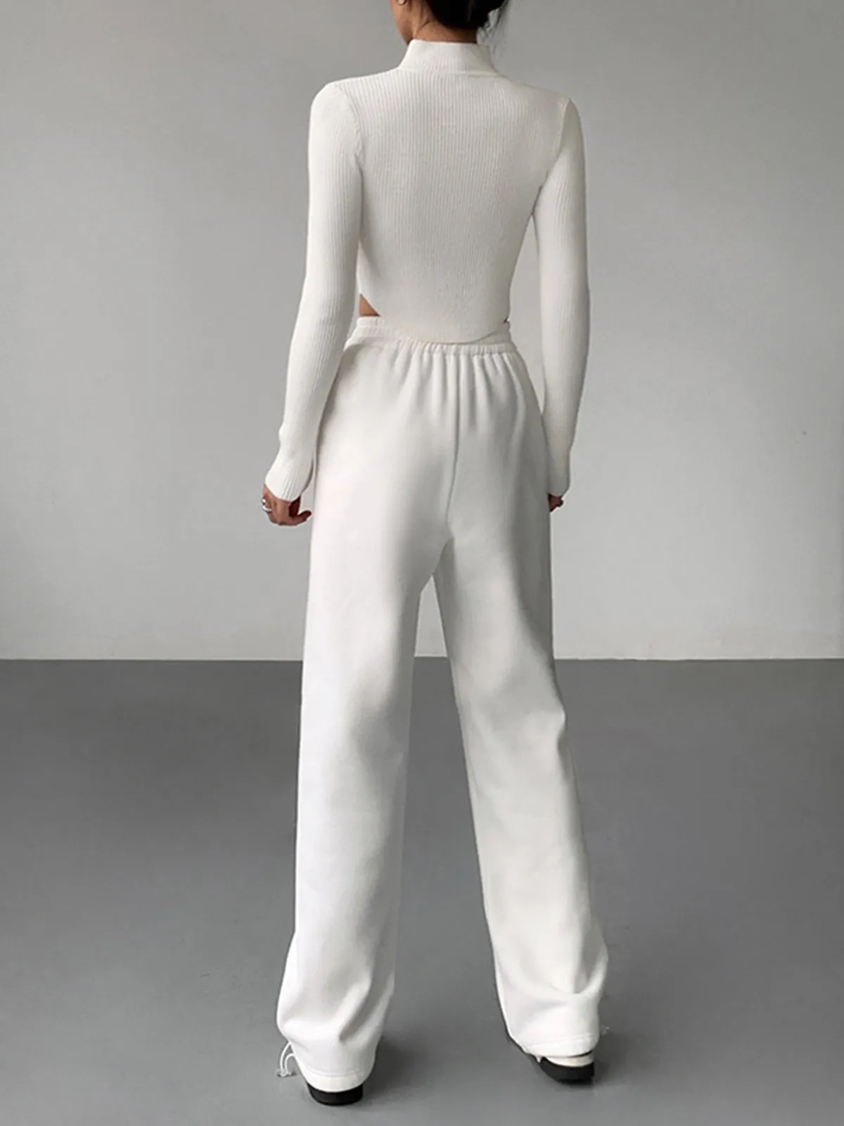 Knit Rib Long Sleeve Modern Mock Neck Crop Top