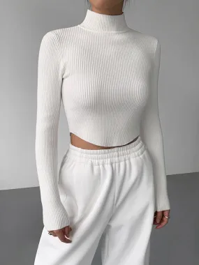 Knit Rib Long Sleeve Modern Mock Neck Crop Top
