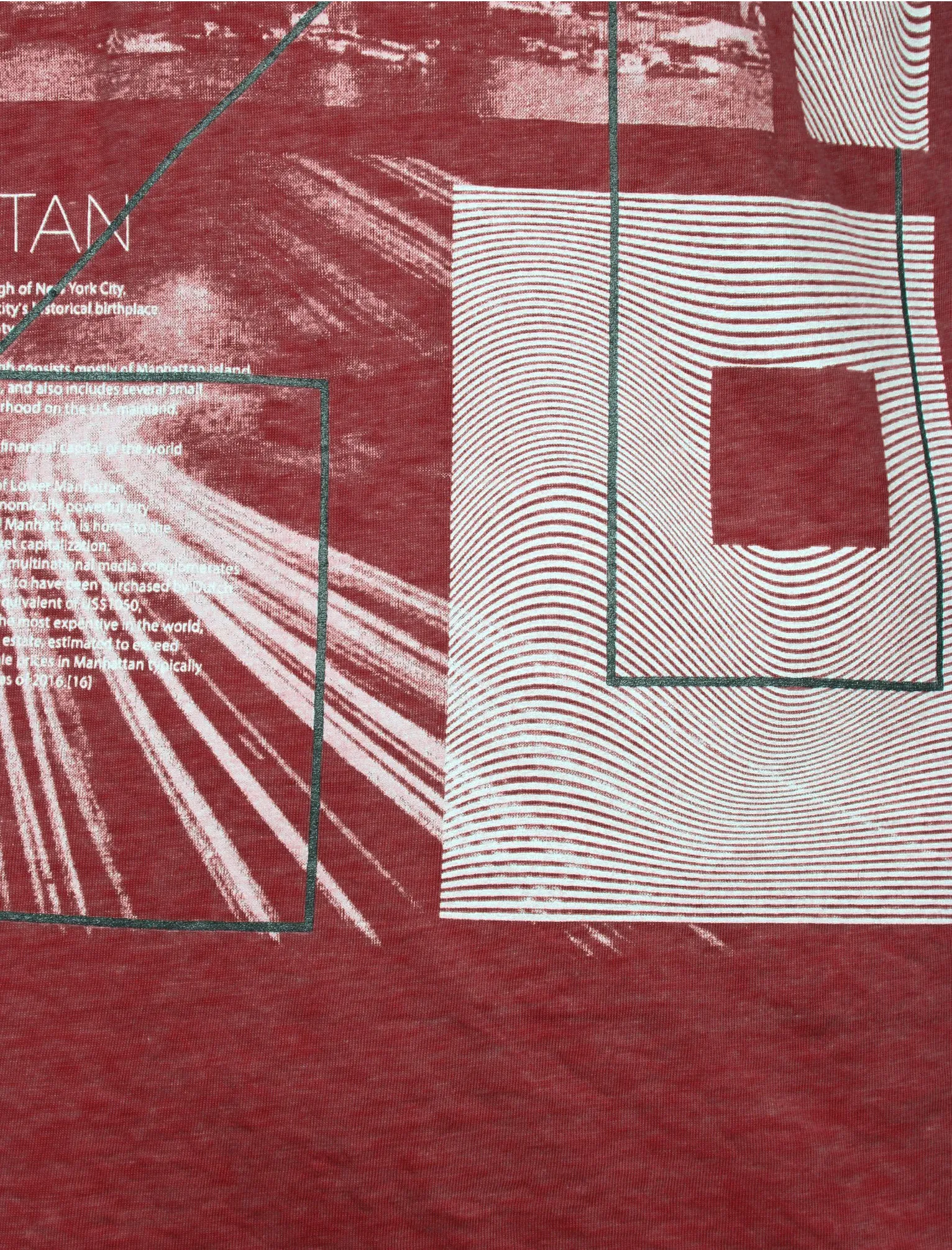 Manhatburn Motif Burnout T-Shirt in Bordeaux - Dissident