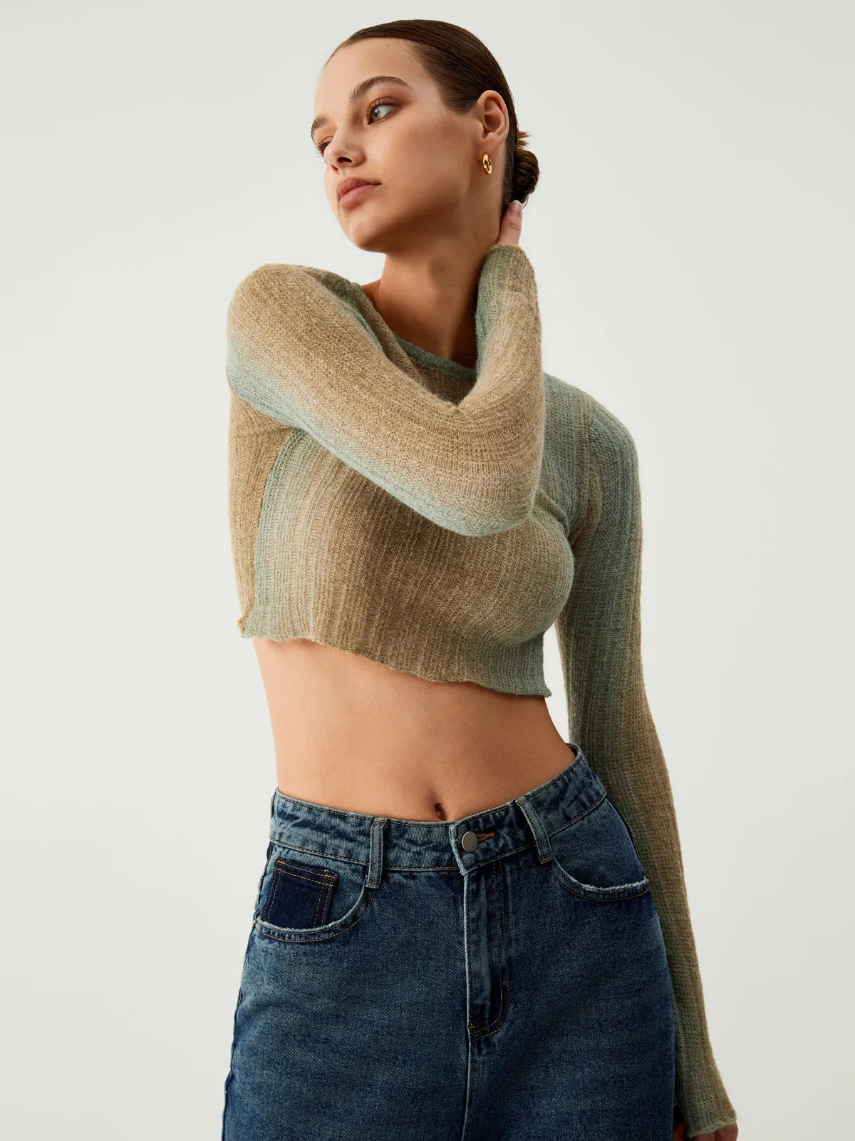 Ombre Greenfield Long Trendy Sleeve Crop Knit Top