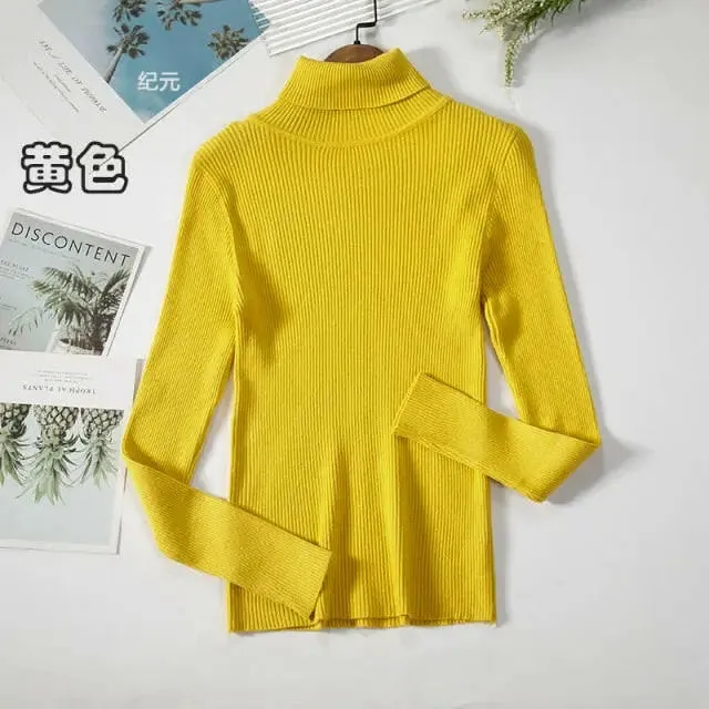 Soft Ribbed Turtleneck Sweater