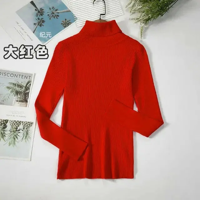 Soft Ribbed Turtleneck Sweater