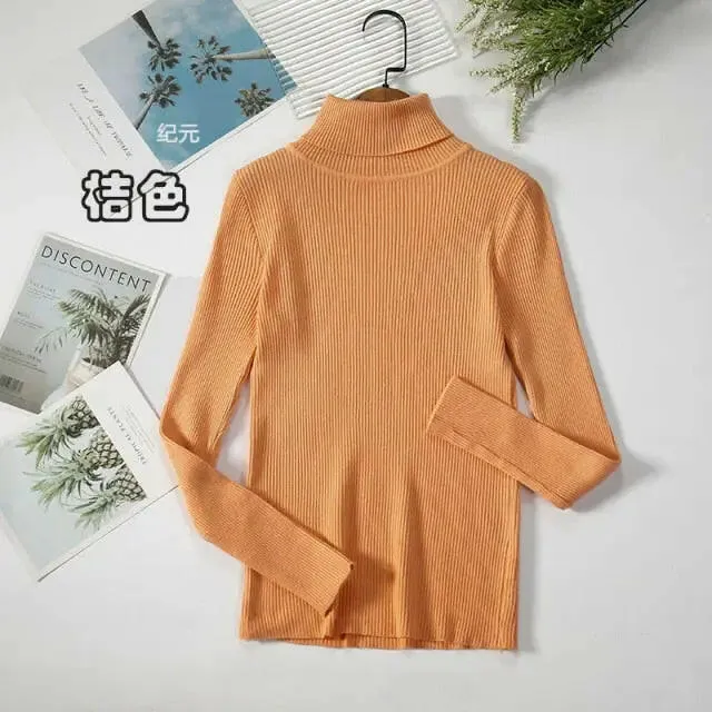 Soft Ribbed Turtleneck Sweater