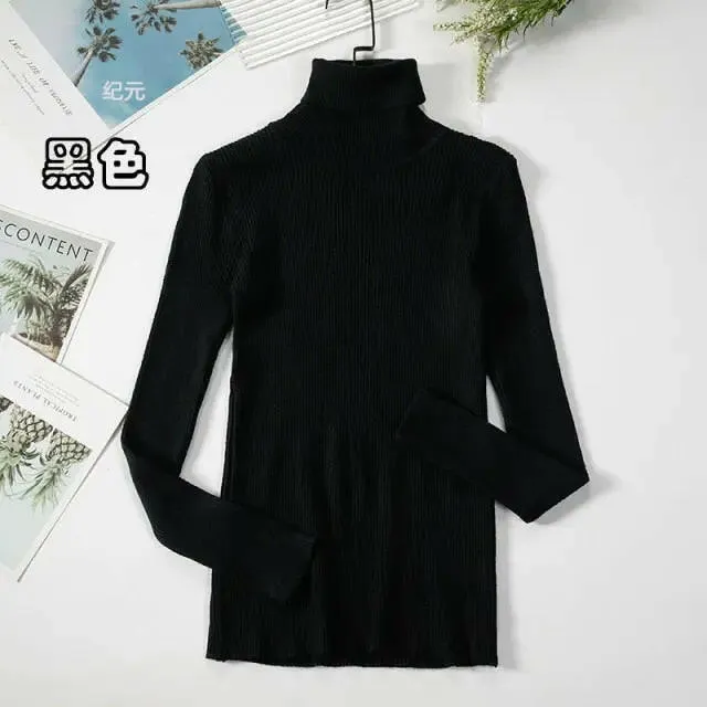 Soft Ribbed Turtleneck Sweater