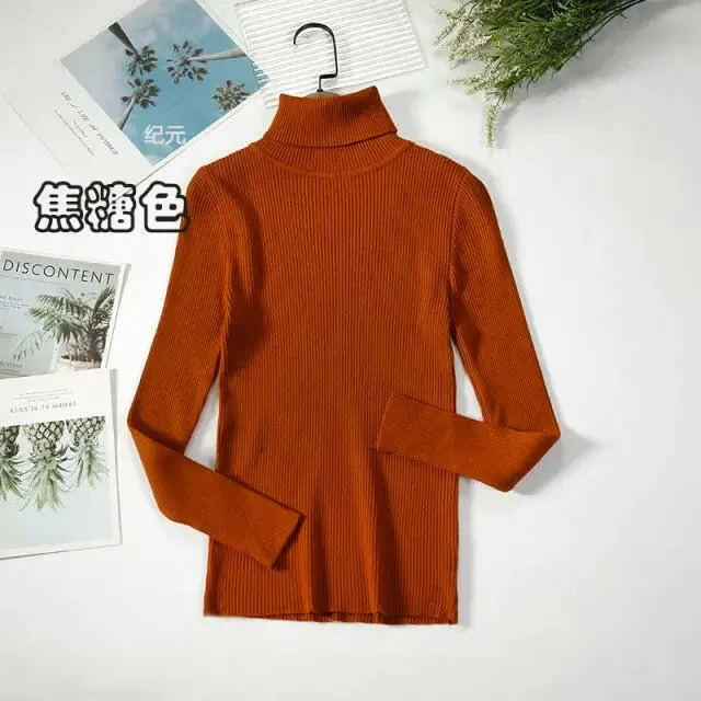 Soft Ribbed Turtleneck Sweater