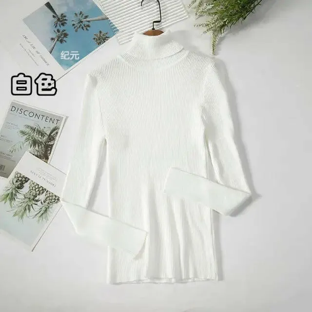 Soft Ribbed Turtleneck Sweater