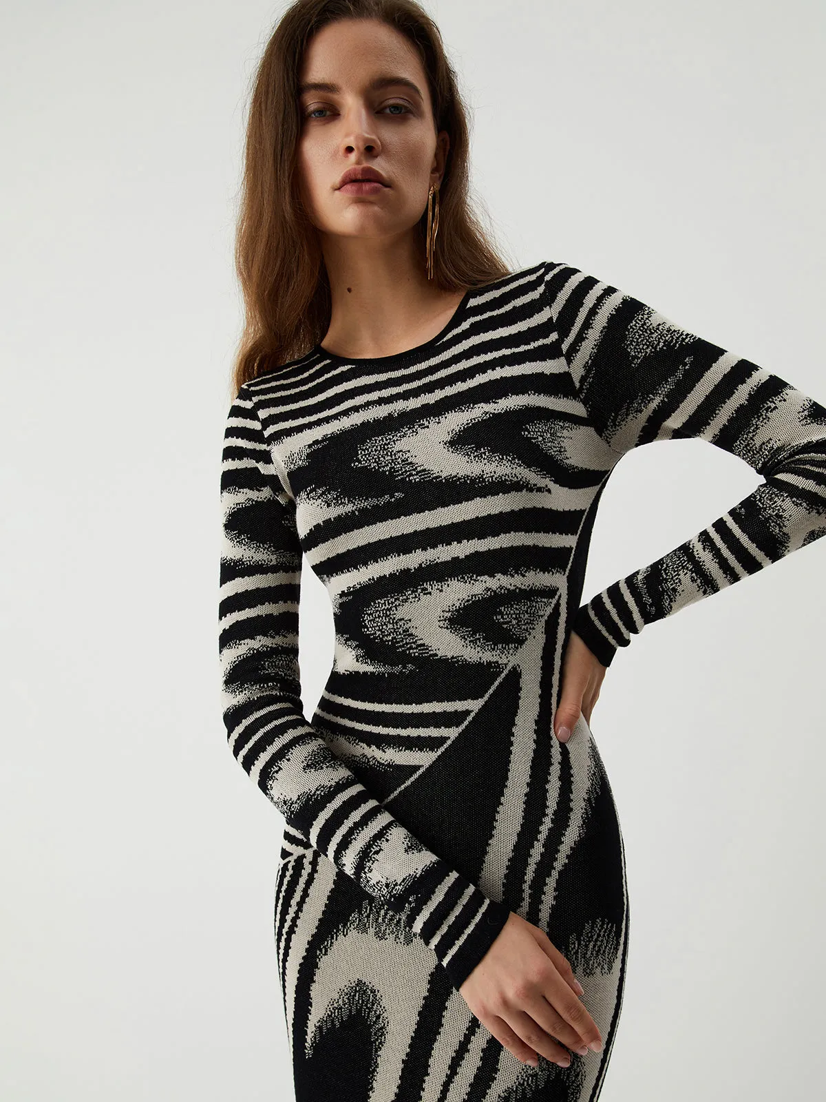 Zebra Print Long Trendy Sleeve Sweater Dress