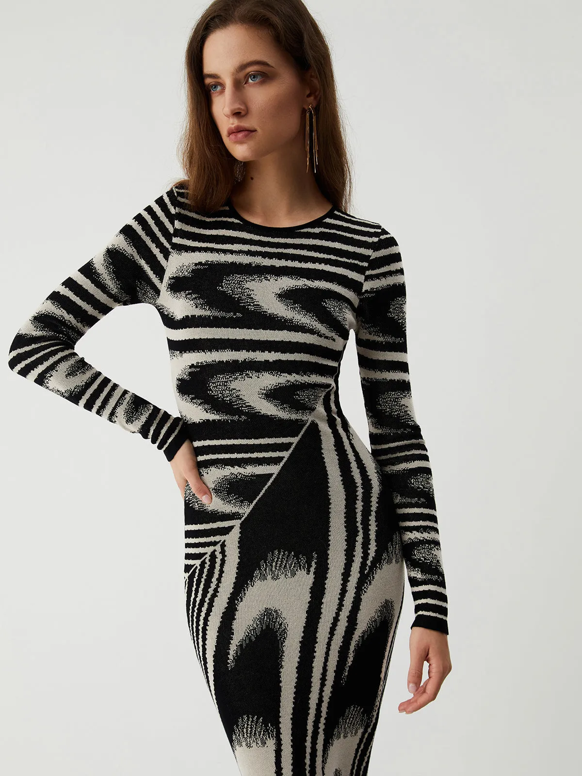 Zebra Print Long Trendy Sleeve Sweater Dress